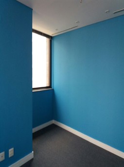 Pinturas internas