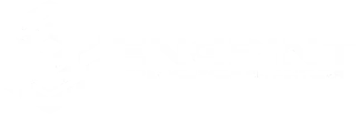 ENGPINT